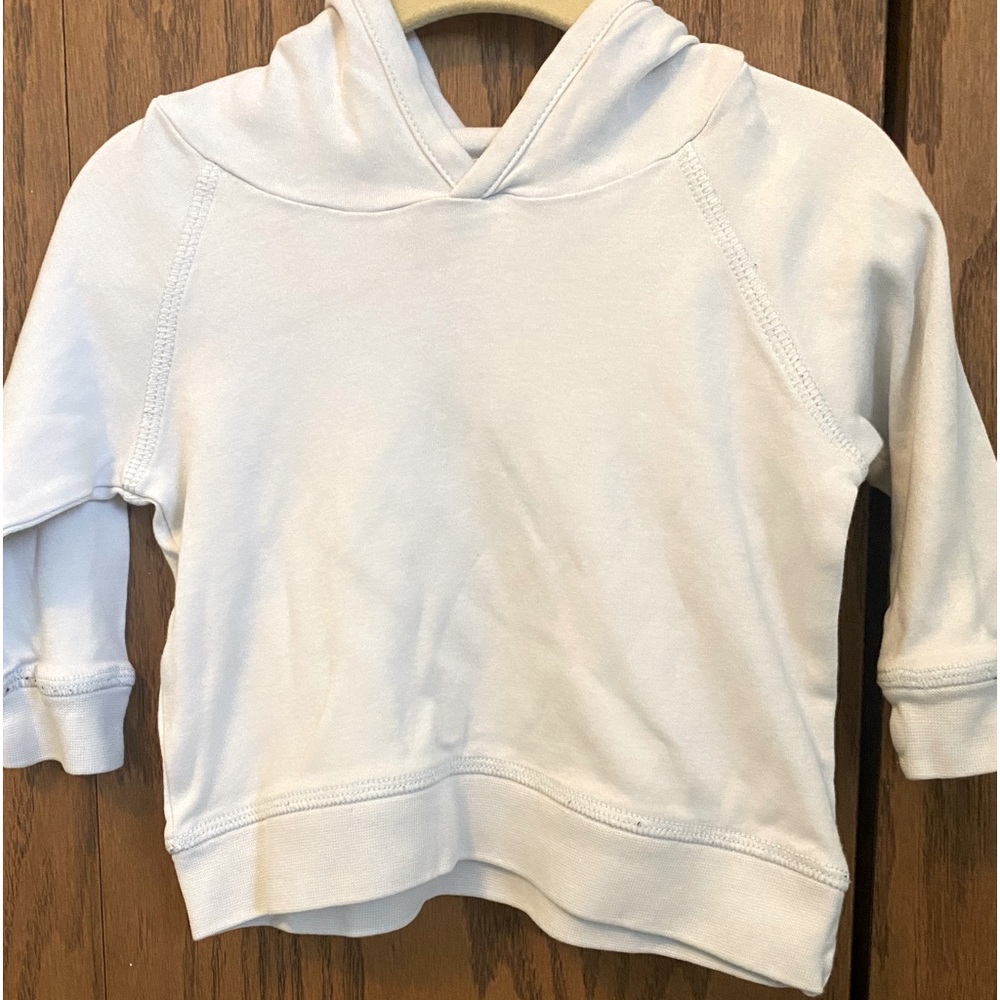 Colored Organics Madison Hooded Pullover in Rain